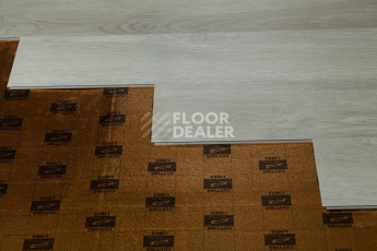 Tarkett Funky House CRUZE фото 2 | FLOORDEALER